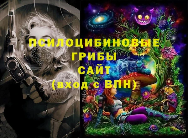 амф Алексин