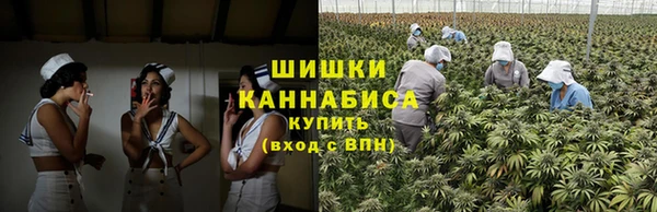 амф Алексин