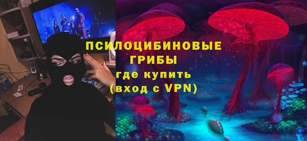 амф Алексин