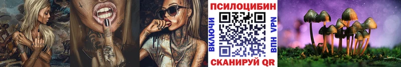 Псилоцибиновые грибы Psilocybine cubensis  Купить  Ахтырский 